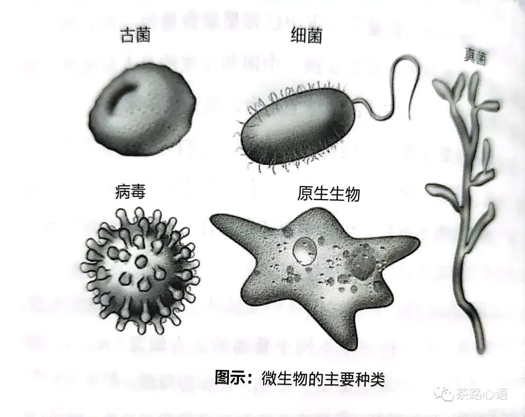 核废料好吃吗_核废料能干嘛_吃核废料为生的人