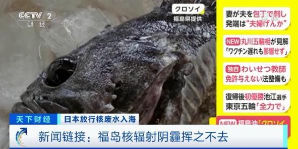 日本核废水洋流扩散图_日本核污水排放洋流_日本核污水洋流