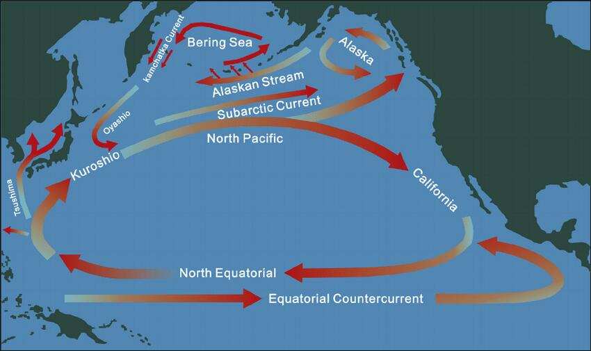 日本核污水模型_日本核污水洋流_日本核污水扩散