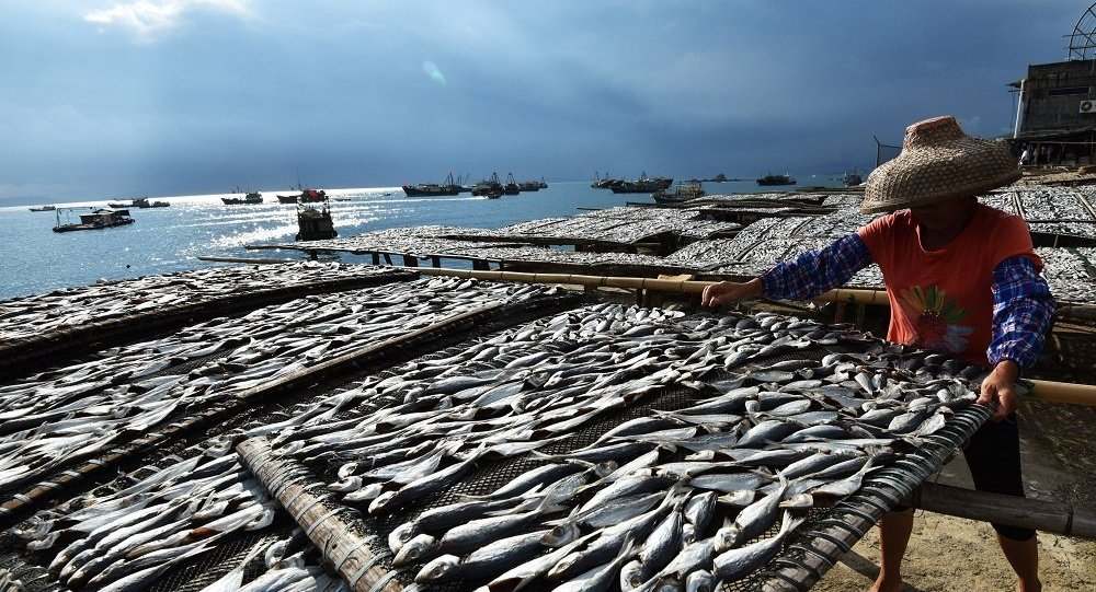 日本核污水扩散_日本核污水洋流_日本核污水模型